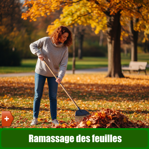 Ramassage des feuilles.
Ramassage de branchage - je bricole je jardine