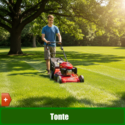 Tonte pelouse gazon herbe. Entretien à l'année ou ponctuel - je bricole je jardine